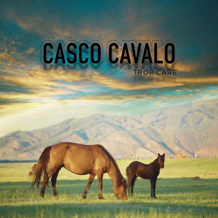 Casco Cavalo